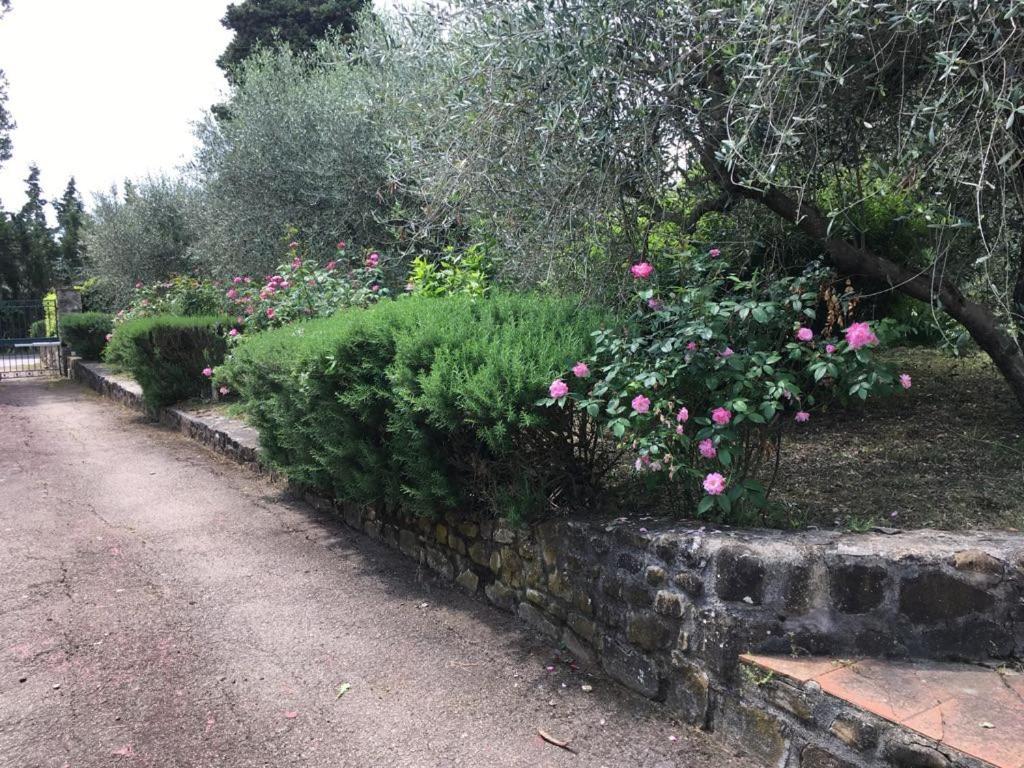 Al Canaiolo Strada in Chianti Buitenkant foto