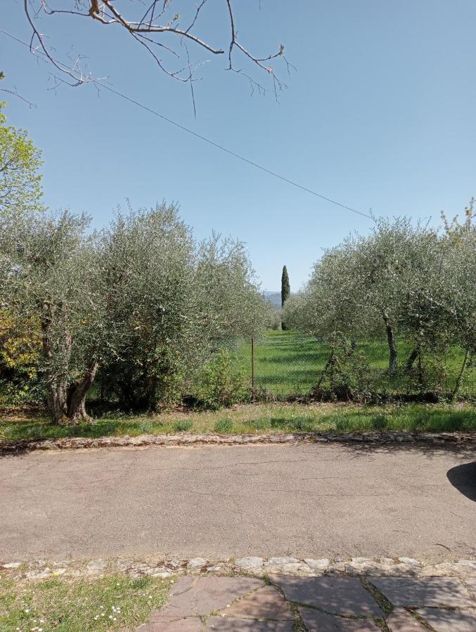 Al Canaiolo Strada in Chianti Buitenkant foto